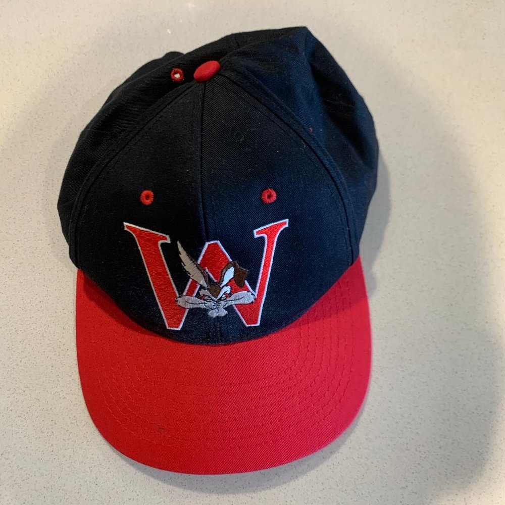 VINTAGE 1992 LOONEY TUNES WILEY HAT CAP